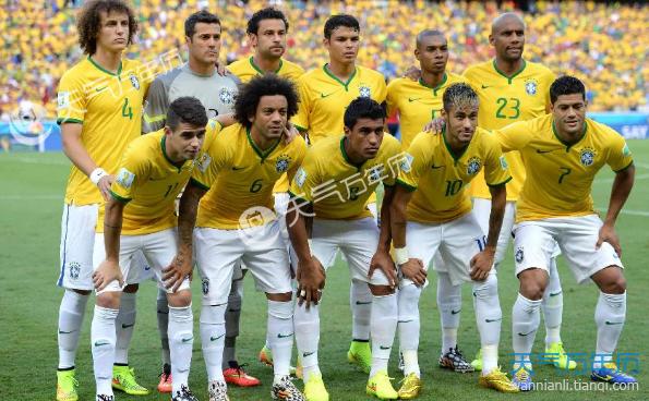 2014世界杯巴西队名单 2014年世界杯巴西队队员名单